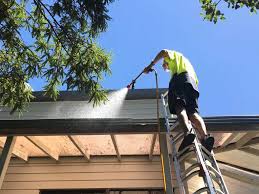 worker cleaning a house roof with pressure washer