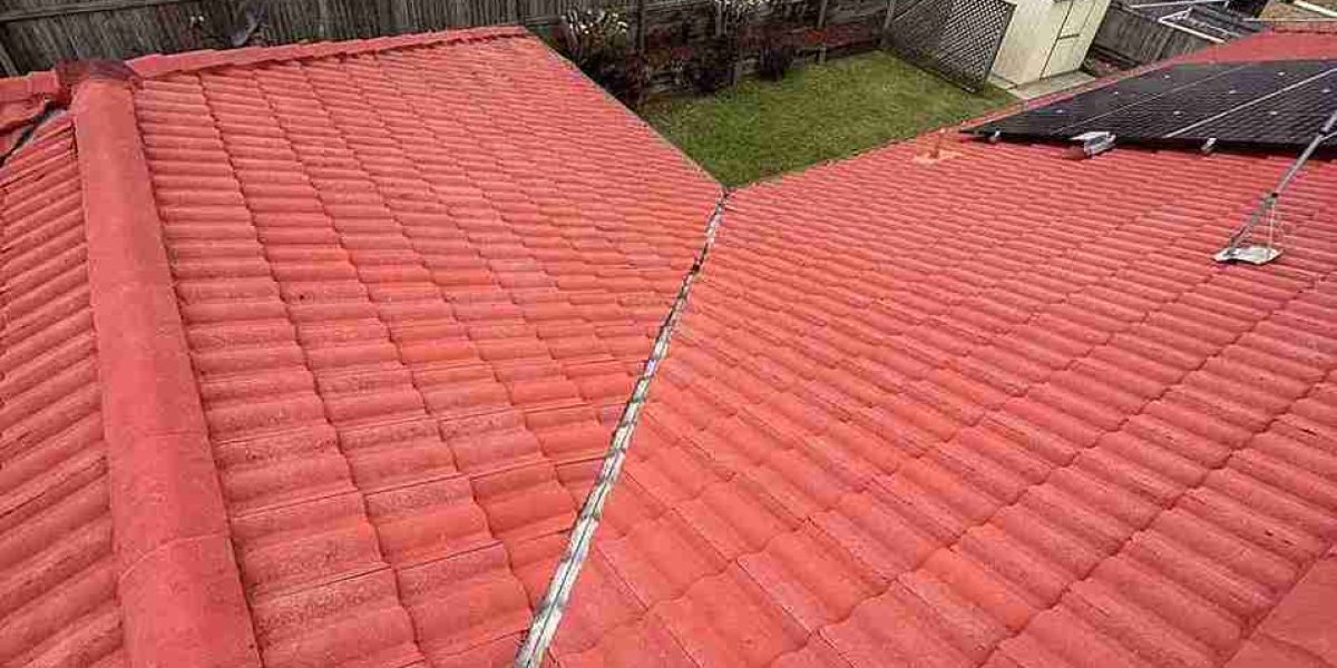 Roof cleaning services